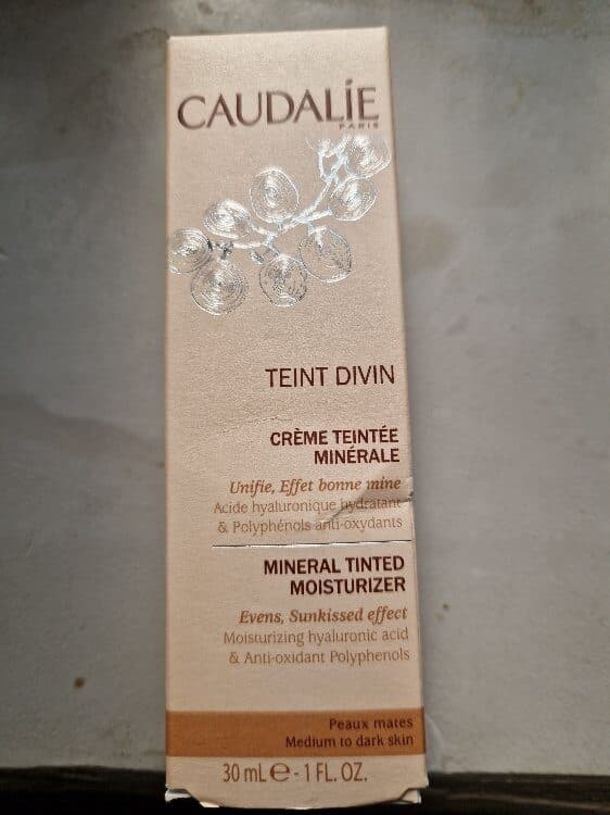 Teint Divin Tinted Moisturizer
